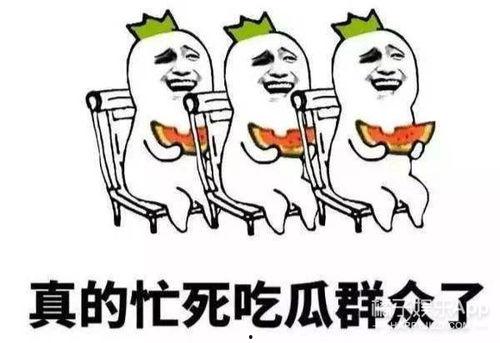 怎么吃瓜恋爱,揭秘如何甜蜜“吃瓜”恋爱
