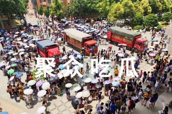 广西吃瓜高校,校园生活新风尚揭秘