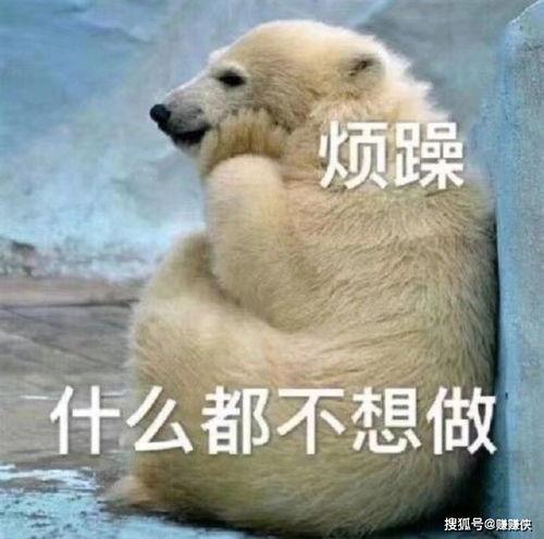 吃瓜群众抢瓜图片,吃瓜群众抢瓜瞬间，场面火爆！