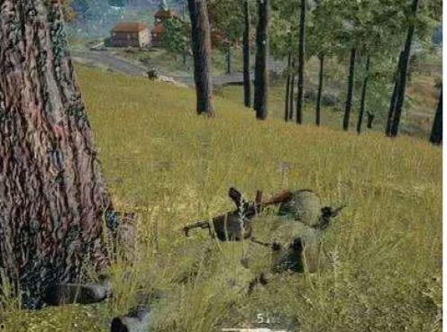 和平精英吃瓜事件最新,揭秘背后真相与网络舆论风暴