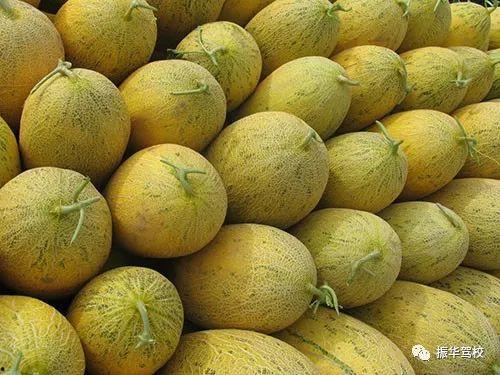 吃哈密瓜种子,从果腹到养生