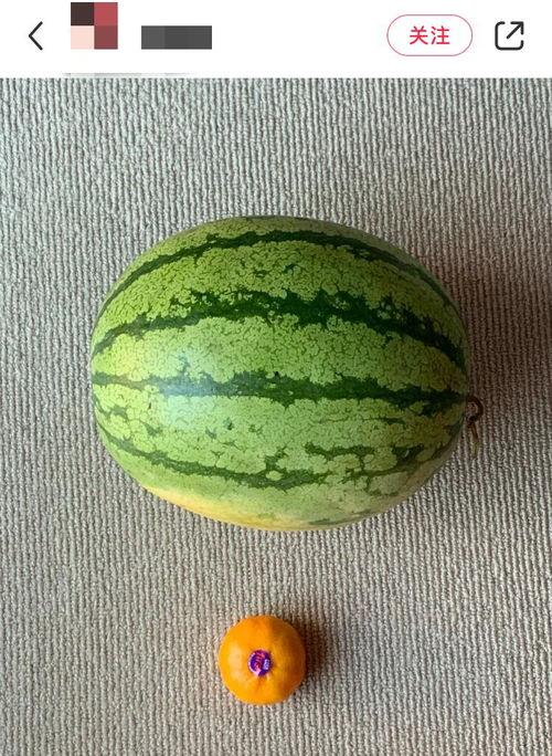 老外模仿中国吃瓜,老外模仿中国吃瓜文化，趣味横生！