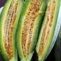 孕期吃羊角酥瓜,羊角酥瓜的孕期营养与美味探索