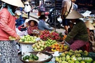 越南吃山头瓜视频,独特风味，探寻越南乡村美食之旅