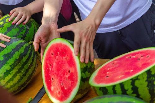 海口今日吃瓜,吃瓜群众聚焦热点事件