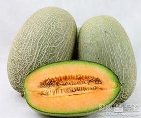 来m吃哈密瓜,探寻来m吃哈密瓜的独特魅力
