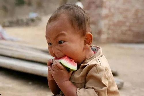 吃瓜的二秃子,笑谈世间百态