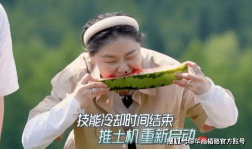 吃瓜很努力,吃瓜群众努力解锁娱乐圈秘密