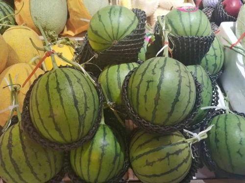 福州侨中吃瓜,吃瓜群众围观校园风云