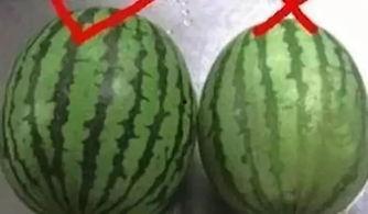 全网吃瓜视频汇总,揭秘娱乐圈幕后故事