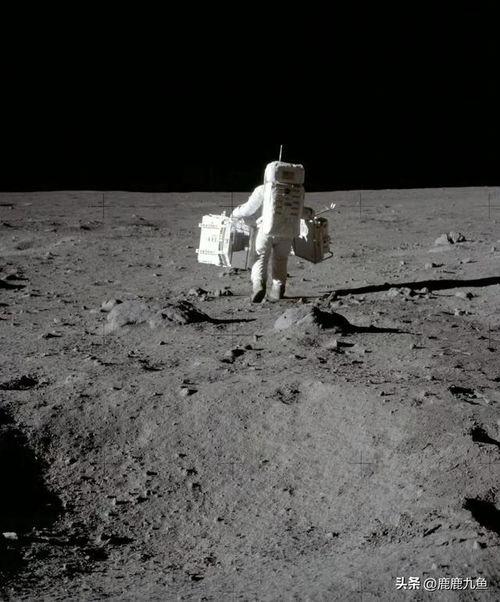 月球上吃瓜,揭秘月球种植技术新突破