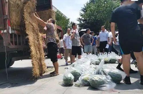 吃瓜外国语大学,揭秘校园里的国际文化交流现象