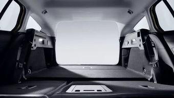 福克斯吃瓜群众,揭秘娱乐圈幕后风云