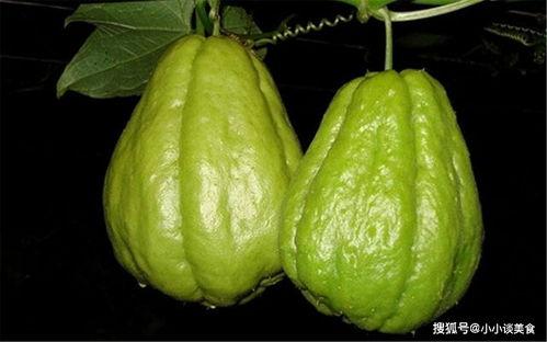 佛手瓜吃发,探寻绿色健康的餐桌佳肴